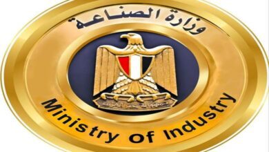 صورة بعد الإعلان عن انطلاقها اليوم.. أبرز خدمات منصة مصر الصناعية الرقمية