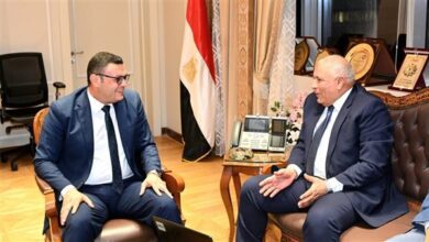 صورة الإسكان: 60 مشروعا تنمويا بتكلفة 6.47 مليار جنيه لخدمة أهالي الوادي الجديد