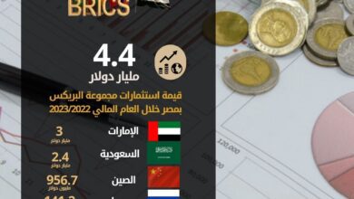 صورة “الإحصاء” : ارتفاع حجم التبادل التجاري بين مصر وتجمع دول الـ “بريكس” إلى 30.2 مليار دولار خلال الـ 8 أشهر الأولى من 2024