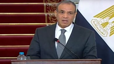 صورة وزير الخارجية: مصر أعلنت نيتها استضافة مؤتمر لإعادة إعمار غزة