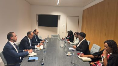 صورة وزير الخارجية والهجرة يلتقى مع وزيرة خارجية مالاوي على هامش الاجتماع الوزاري الإفريقى الأوروبى