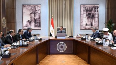 صورة مدبولي يوجه بحصر شامل للآثار الغارقة ووضع خطة لاستخراجها وعرضها في المتاحف أو تخصيص تلك المواقع للغطس