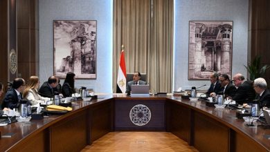 صورة رئيس الوزراء يتابع جهود فض التشابكات المالية بين بنك الاستثمار وعدد من الجهات الحكومية