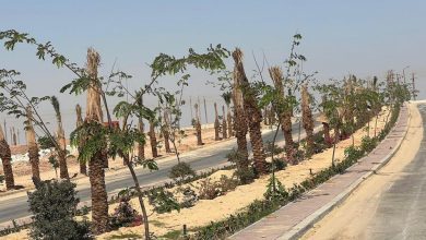 صورة وزير الإسكان: إزالة التعديات عن 93 فدانًا واستكمال مشروعات مدينة ملوي الجديدة