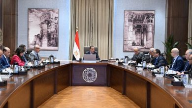 صورة رئيس الوزراء يتابع موقف تنفيذ عددٍ من المشروعات الخدمية والتنموية بالوادي الجديد
