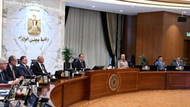 صورة مدبولي: استمرار الجهود لإتاحة مزيد من التيسيرات والمحفزات وإزالة أي تحديات تواجه قطاع الصناعة