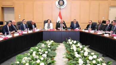 صورة بتوجيه رئاسي.. عرض طلبات إنشاء مناطق حرة أو استصدار رخصة ذهبية على المجموعة الوزارية