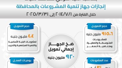 صورة رحمي : ضخ 920 مليون جنيه لتمويل 31 ألف مشروع للشباب بدمياط خلال 9 أشهر