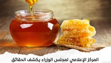 صورة مجلس الوزراء يكشف حقيقة وجود «عسل نحل مغشوش» بالأسواق