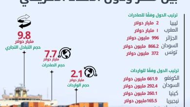 صورة “التعبئة والإحصاء” : 9.8 مليار دولار حجم التبادل التجاري بين مصر ودول الاتحاد الإفريقي خلال 2024