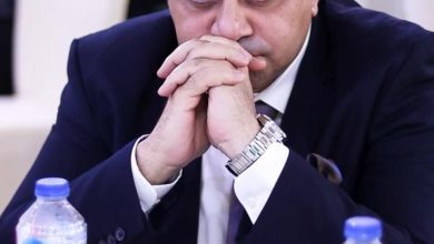 صورة أحمد زكي: المرأة المصرية والعربية صانعة نهضة وعزة لأوطانهن