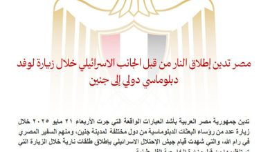 صورة مصر تدين إطلاق النار من قبل الجانب الاسرائيلي خلال زيارة لوفد دبلوماسي دولي إلى جنين