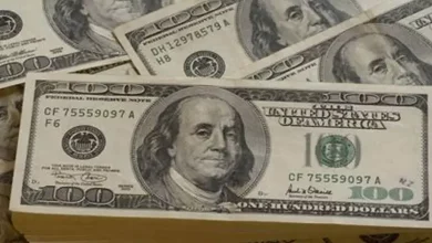 صورة سعر الدولار مقابل الجنيه اليوم الجمعة 16-مايو-2025