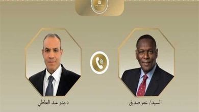 صورة وزير الخارجية يؤكد تضامن مصر مع السودان إزاء الاستهداف الأخير للمنشآت في بورسودان