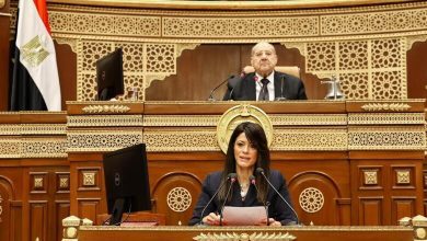 صورة “المشاط” : زيادة الاستثمارات الكليّة لـ 3.5 تريليون جنيه بخطة عام 2026/2025