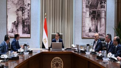 صورة رئيس الوزراء يستعرض جهود تعزيز استدامة جهاز تنمية المشروعات المتوسطة والصغيرة ومتناهية الصغر