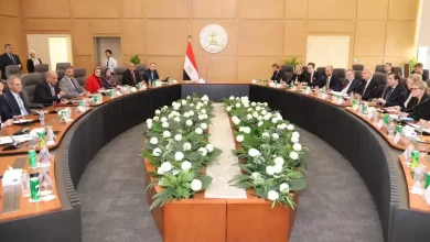 صورة باستثمارات 7 ملايين دولار.. اقتصادية قناة السويس تتعاقد مع «شاوشين بيكي» الصينية لإنتاج الملابس بالقنطرة غرب