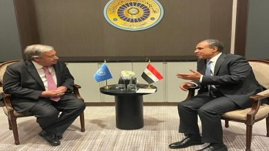 صورة وزير الخارجية يؤكد لسكرتير الأمم المتحدة ضرورة التوصل لاستئناف وقف إطلاق النار ورفع الحصار عن قطاع غزة
