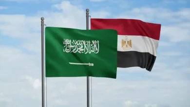 صورة بنمو 13.5%.. التجارة بين مصر والسعودية تتجاوز 2.7 مليار دولار خلال الربع الأول