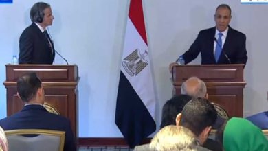 صورة وزير الخارجية: مشروع الضبعة النووي ركيزة أساسية لمصر لتنويع مصادر الطاقة