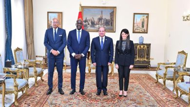 صورة الرئيس السيسي يؤكد حرص مصر على استمرار التعاون مع مؤسسة التمويل الدولية