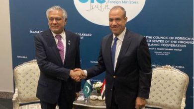 صورة وزيرالخارجية ونظيره الباكستاني يعربان عن بالغ القلق إزاء التطورات بالمنطقة