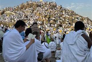 صورة الحجاج المصريون يؤكدون أن تجربة الحج هذا العام كانت استثنائية في جميع تفاصيلها