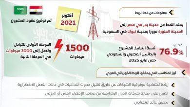 صورة مجلس الوزراء: الربط الكهربائي مع السعودية نقطة انطلاق مصر كمحور إقليمي للطاقة