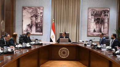 صورة رئيس الوزراء يستعرض خطوات تنفيذ برنامج الطروحات الحكومية في قطاع الاتصالات