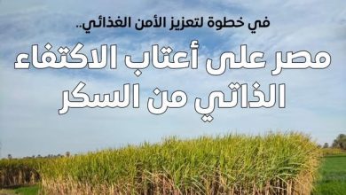 صورة مجلس الوزراء: مصر على أعتاب الاكتفاء الذاتي من السكر ..وبدءًا من 2026 لن تكون  بحاجة لاستيراده