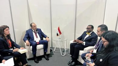 صورة وزير قطاع الأعمال يبحث مع رئيس “البنك الإفريقي للتنمية” آفاق التعاون وتعزيز الشراكة