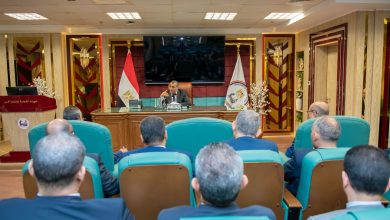 صورة وزير الدولة للإنتاج الحربي: استراتيجية العمل بالوزارة تقوم على الانفتاح للتعاون مع كافة الشركات بمختلف المجالات