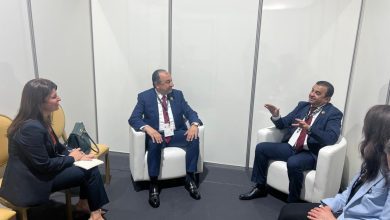 صورة وزير قطاع الأعمال يبحث مع وزير الطاقة الجزائري توسيع آفاق التعاون الاستثماري