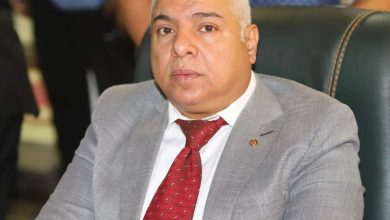 صورة نصر الدين : تحول جذري في فلسفة التعامل مع المستثمر.. والربط الإلكتروني يختصر وقت التراخيص .