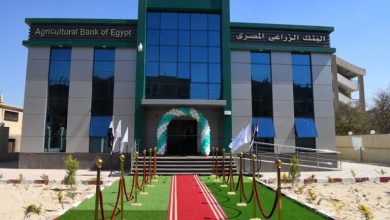 صورة البنك الزراعي المصري يطلق مبادرة للتدريب الصيفي لطلبة الجامعات.. تعرف على التفاصيل والشروط