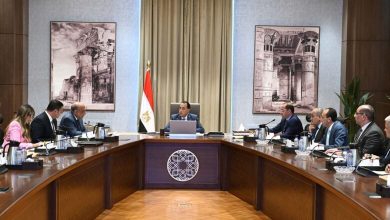 صورة رئيس الوزراء يتابع جهود فض التشابكات المالية بين عدد من الجهات الحكومية