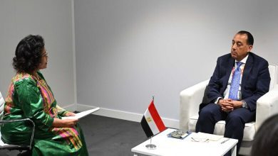 صورة رئيس الوزراء يلتقي المديرة التنفيذية لـ “النيباد”