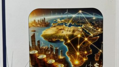 صورة وزارة الخارجية والهجرة تطلق دراسة شاملة حول خارطة الاستثمار في أفريقيا