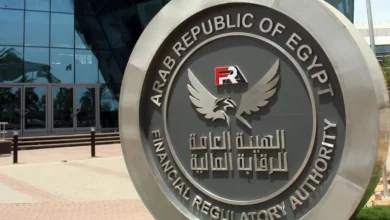 صورة مهلة 3 أشهر للشركات والأفراد بنشاط التأمين للتوافق مع ضوابط إنشاء المواقع الإلكترونية