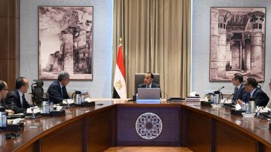 صورة “مدبولي”  يستعرض الفرص الاستثمارية بقطاعي السياحة والآثار