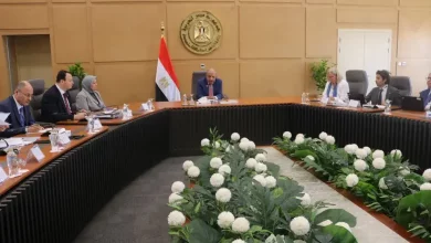 صورة وزير الكهرباء يبحث مع المفوضية الأوروبية تعزيز الشراكة بمجالات الطاقة المتجددة
