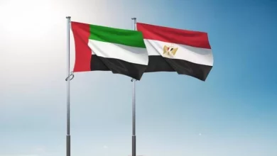 صورة “التعبئة والإحصاء” : 38.9 مليار دولار حجم الاستثمارات الإماراتية بمصر خلال 2023/ 2024