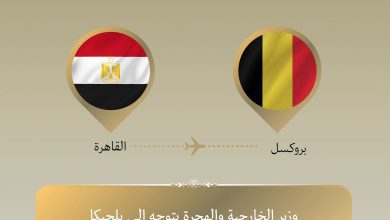 صورة وزير الخارجية والهجرة يتوجه إلى بروكسل