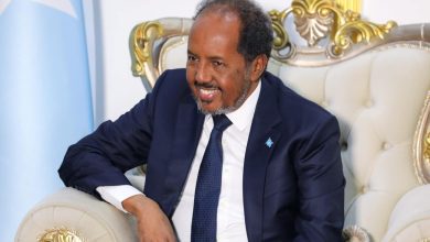 صورة الرئيس الصومالي: بلادنا فى موقف جيد لتكون شريكًا قويًّا لمصر
