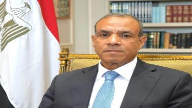 صورة وزير الخارجية: مشاركة الرئيس السيسي بالقمة التنسيقية للاتحاد الإفريقي تعكس اهتمام مصر بتوطيد العلاقات مع دول القارة