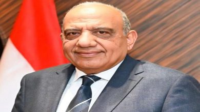 صورة عصمت: مستمرون فى خطة دعم وتطوير الشبكة الموحدة.. والكهرباء ركيزة أساسية لمشروعات التنمية الزراعية