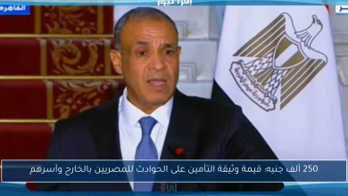 صورة بالتعاون بين “الخارجية” و”الرقابة المالية”: 250 ألف جنيه قيمة وثيقة التأمين من الحوادث للمصريين بالخارج وأسرهم