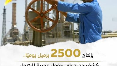 صورة شركة عجيبة للبترول تنجح في اكتشاف حقل” أركاديا ويست” الجديد بالصحراء الغربية