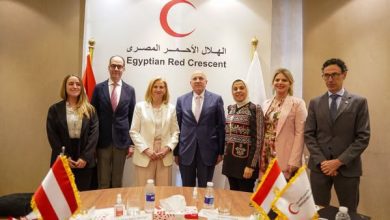 صورة وزيرة خارجية النمسا تثمن جهود مصر في دعم الدول المتضررة من الحروب خاصة غزة