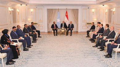 صورة الرئيس الصومالي يعرب عن تطلعه لزيارة الرئيس السيسي لبلاده في أقرب وقت